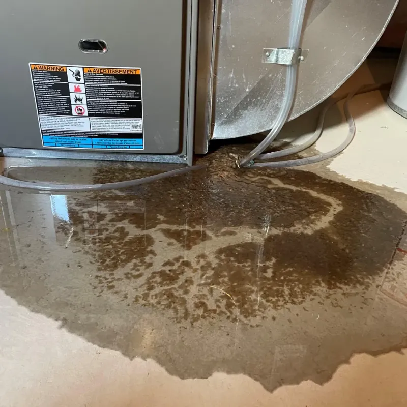 Appliance Leak Cleanup in Helena Valley Southeast, MT